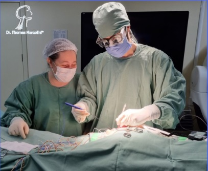 Médico especialista em Schwannoma e Tumores de Nervos Periféricos no Brasil