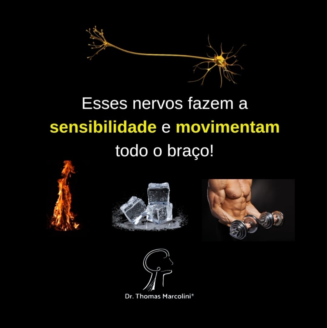 Ilustração de neurônio com o texto
