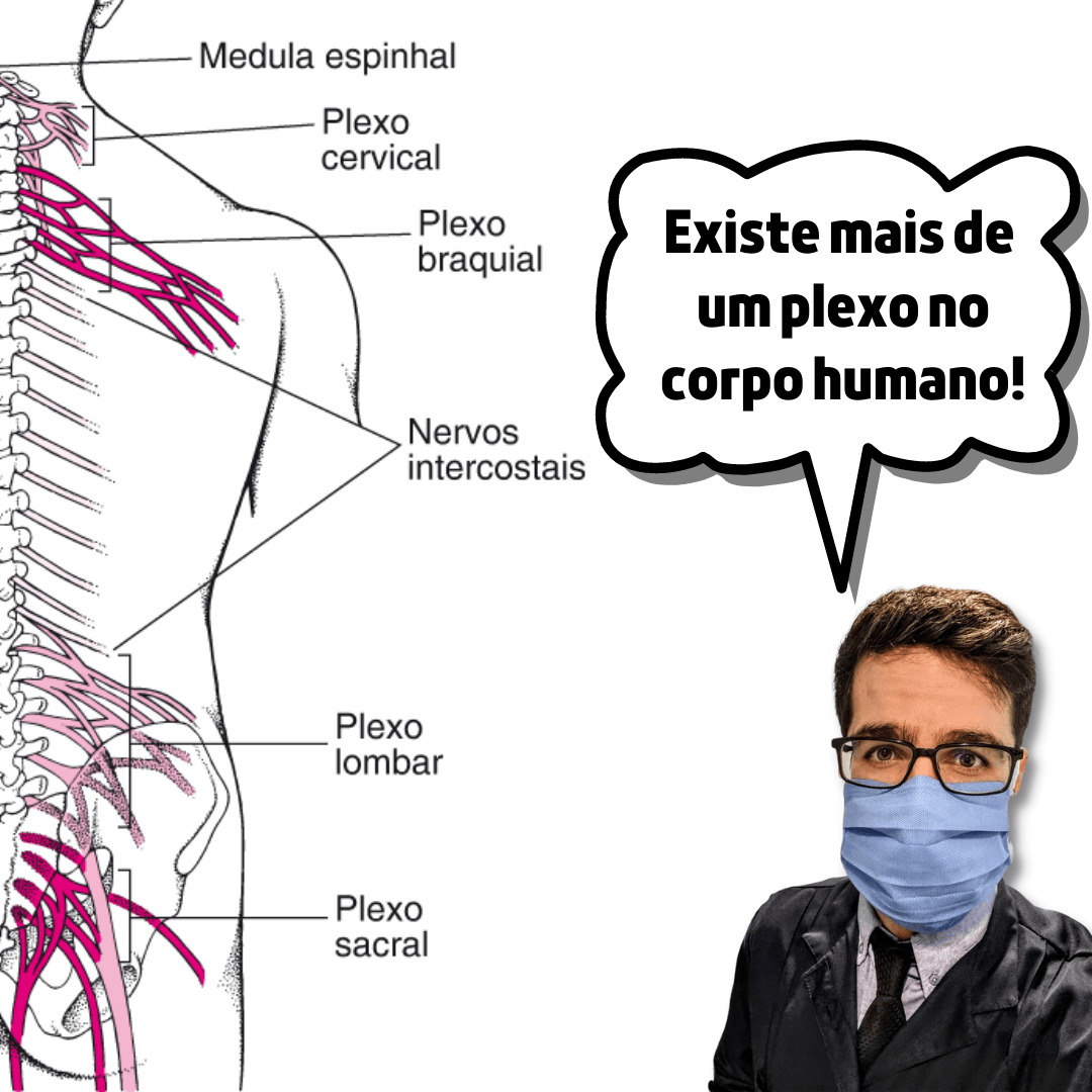 Dr. Thomas Marcolini ao lado de ilustração da coluna mostrando os plexos cervical, braquial, lombar e sacral