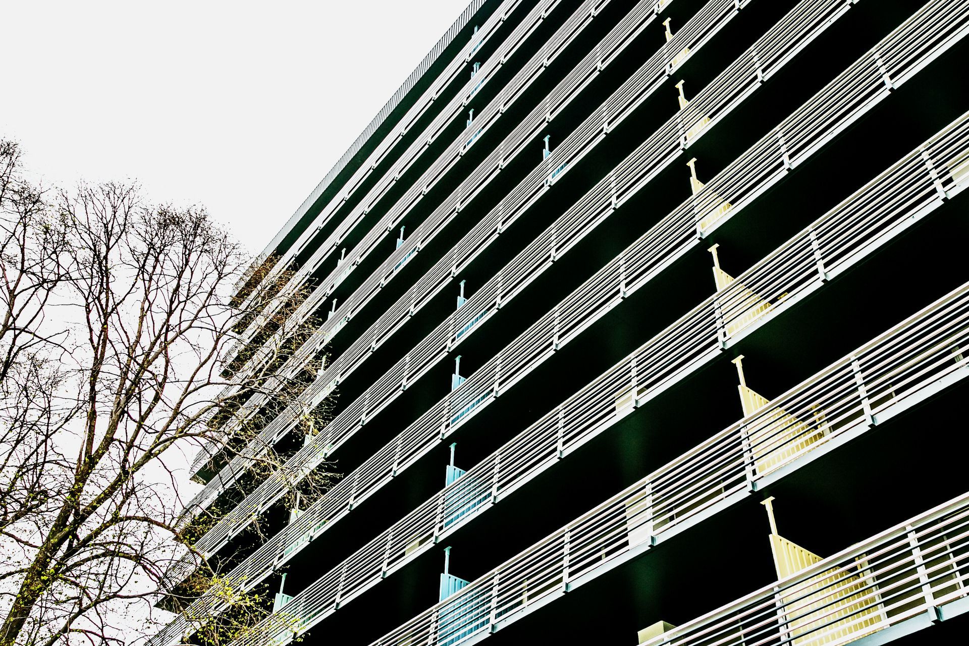Low-angle view of a multi-story apartment building with balconies beside leafless trees