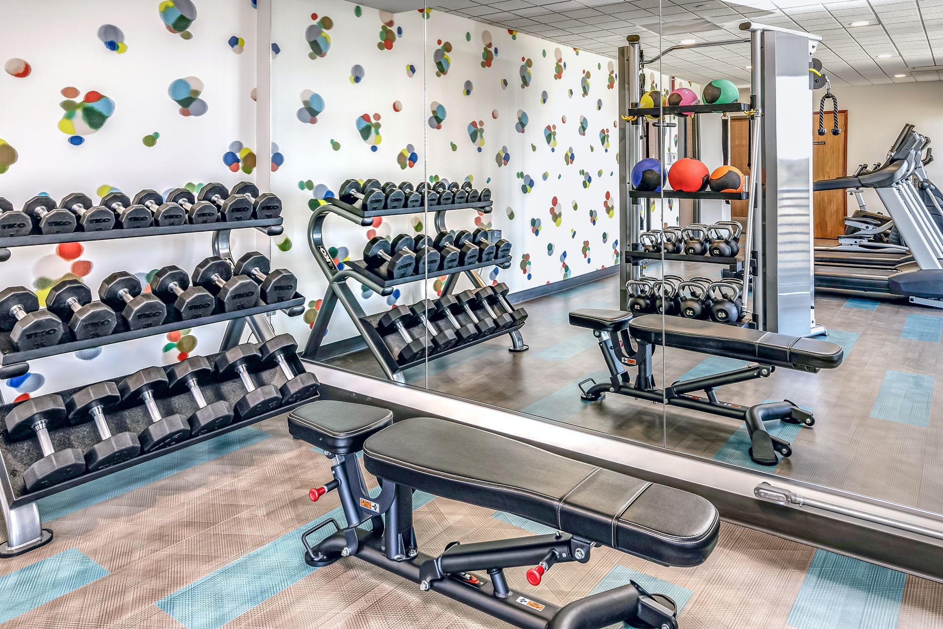 Modern gym with dumbbells, benches, racks, stability balls, and wall-mounted climbing holds