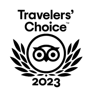 Tripadvisor Travelers’ Choice 2023 award logo in black with laurel wreath and owl icon