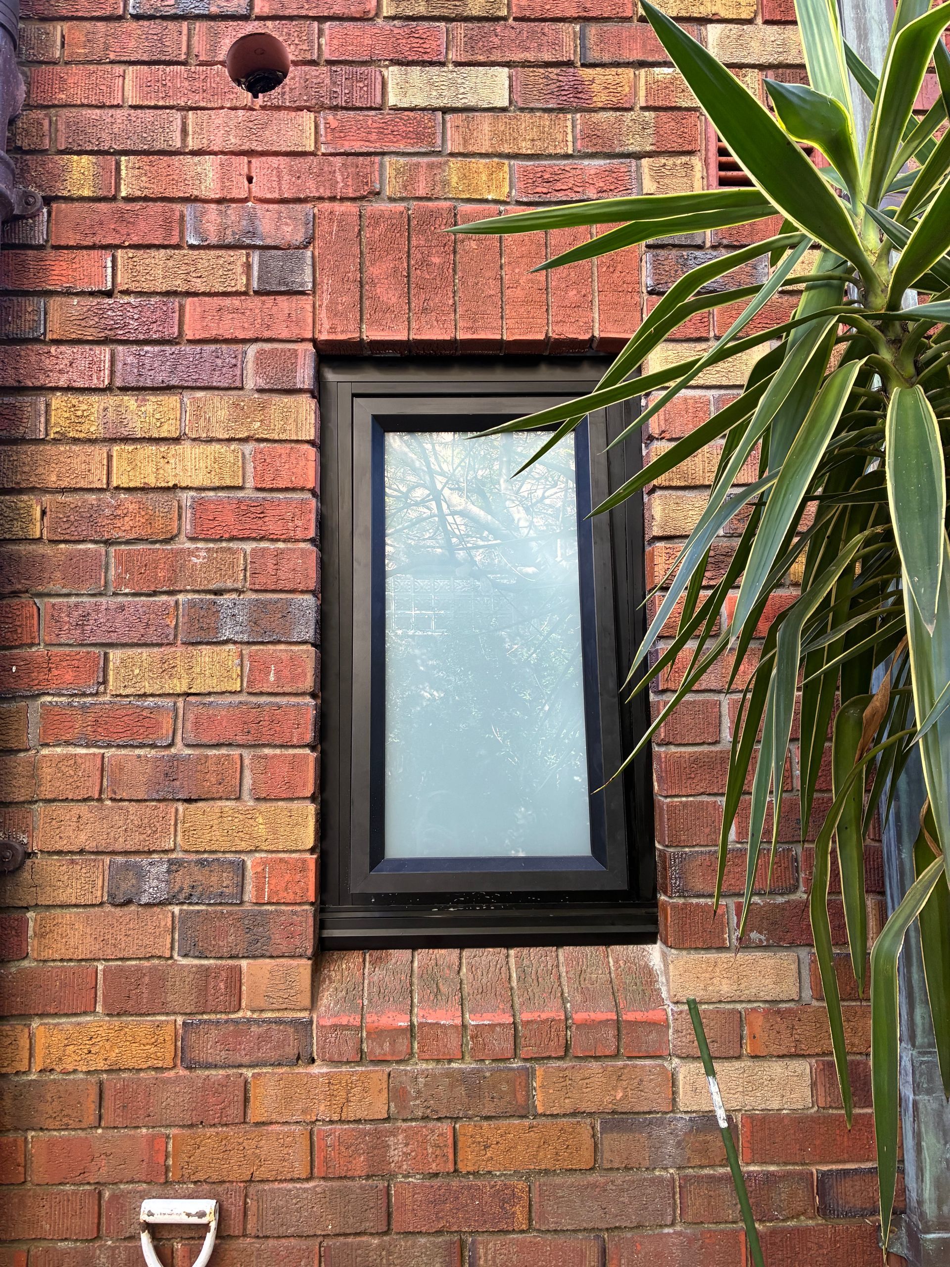 Brick wall with a small black-framed window and a leafy plant on the right side. — Kracken Windows and Doors In Terrey Hills, NSW