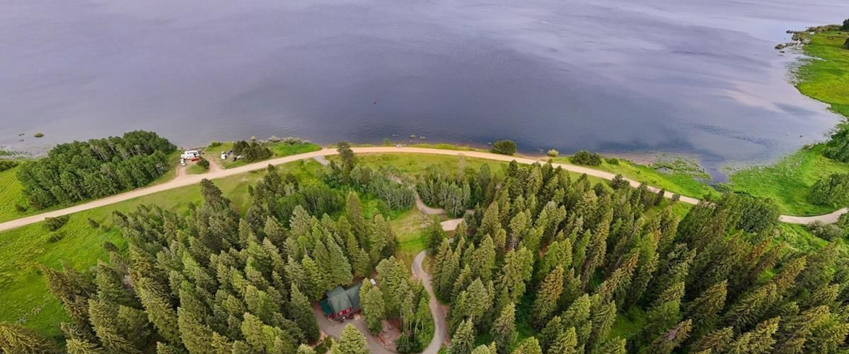 Aerial view of a forested shoreline beside calm blue water and a narrow road