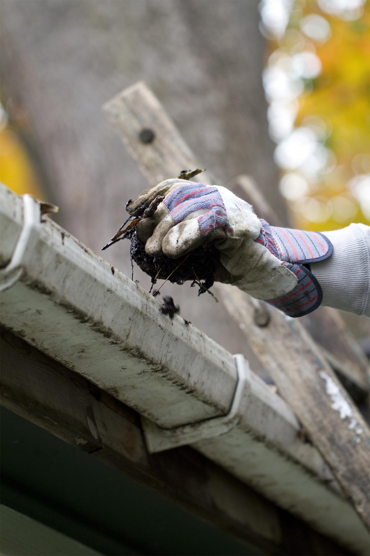 Clogged Gutters Toowoomba