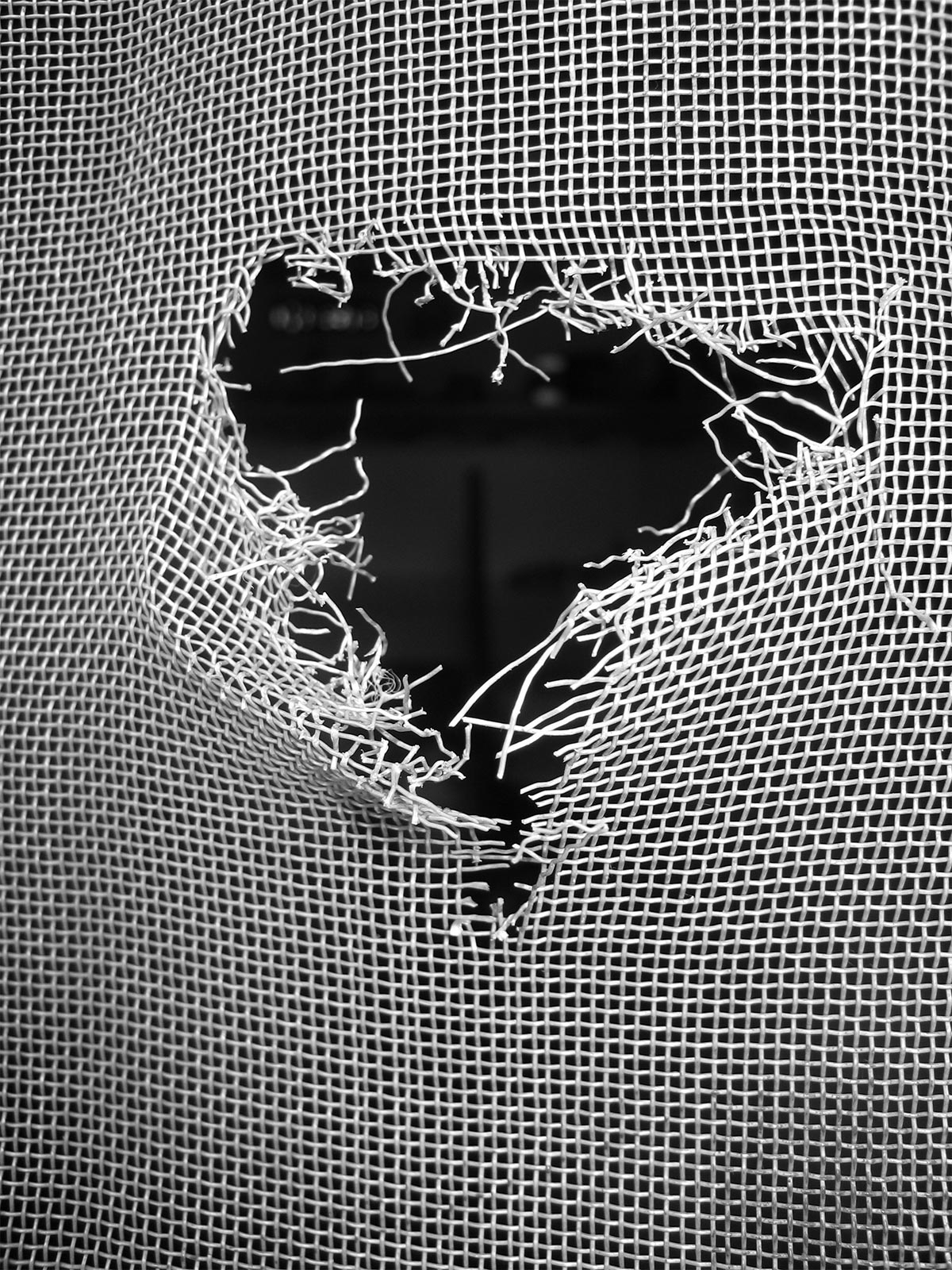 Damaged Stainless Steel Fly Screen