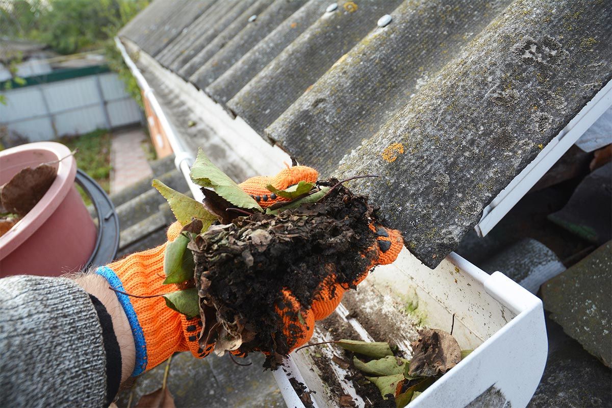 Gutter Cleaning Service In Toowoomba Queensland