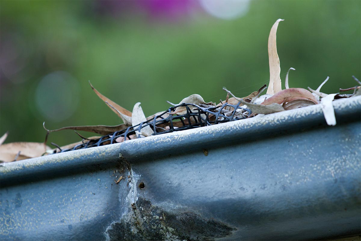 Overflowing House Gutters Toowoomba QLD
