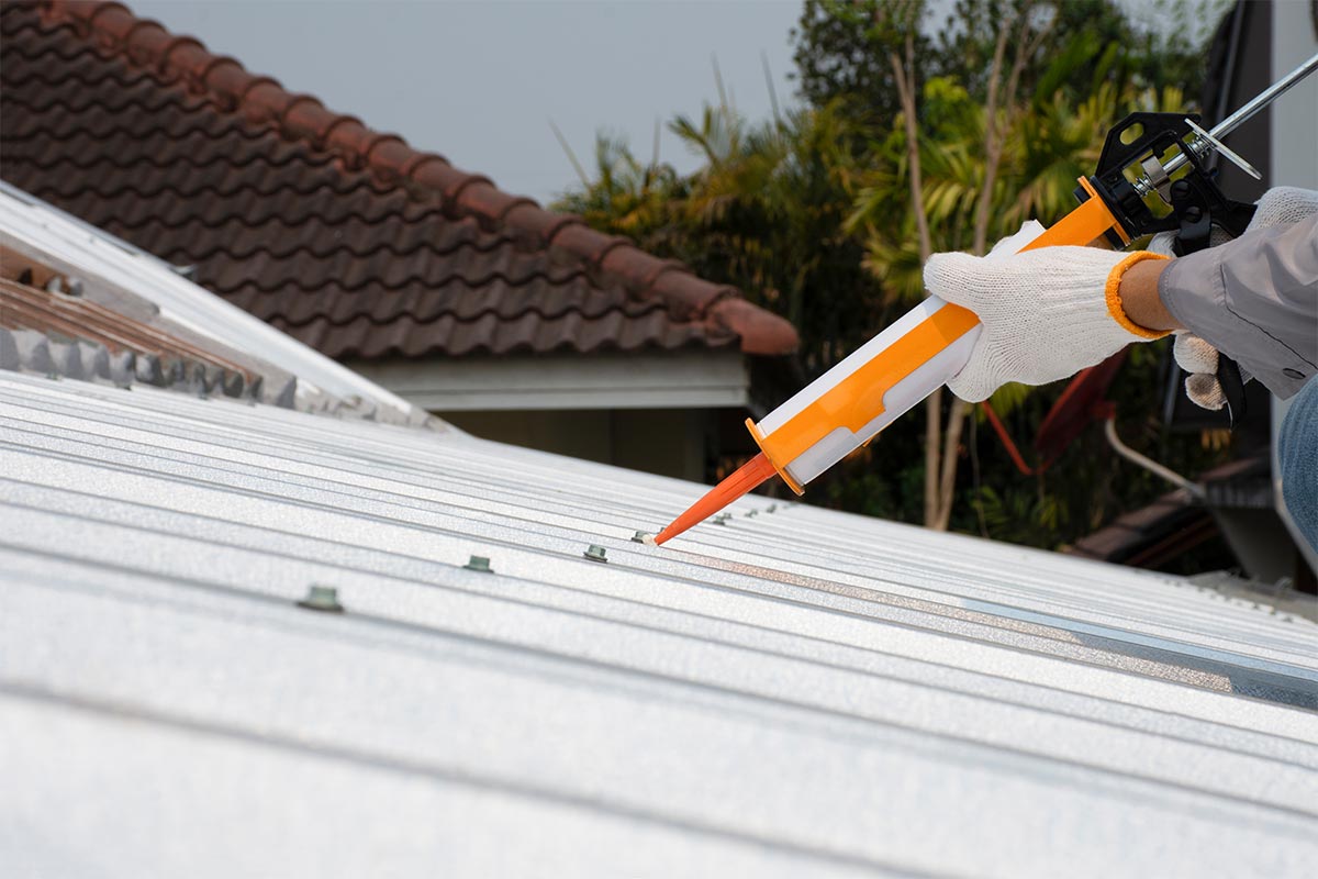 Roof Repairs Handyman