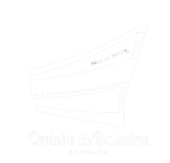 Um desenho em preto e branco de um barco em um fundo branco.