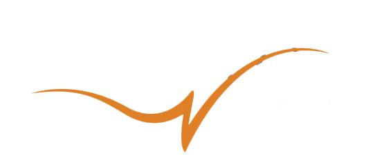 Veritas Business Solutions