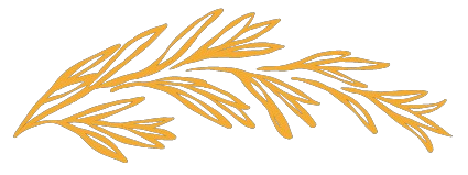 Move Out Cleaners Calgary Logo