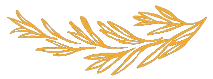Move Out Cleaners Calgary Logo