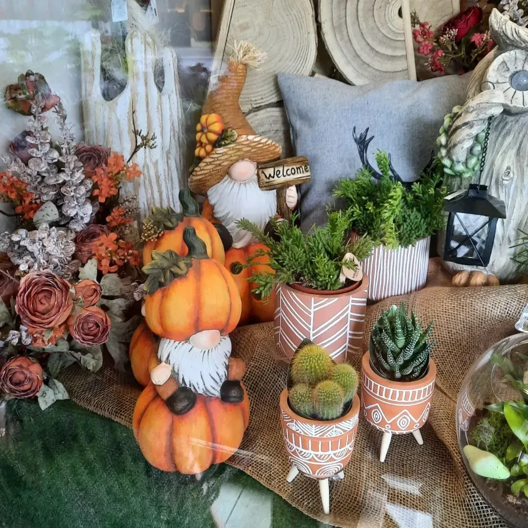 Composizione a tema autunnale con zucche, piante grasse, zucche ornamentali e lanterne bianche su un tavolo rustico.