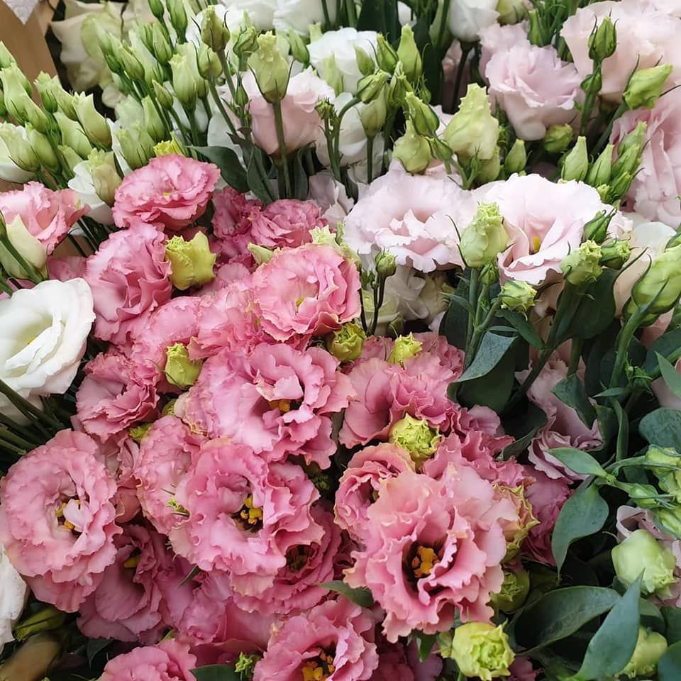Bouquet di fiori di lisianthus rosa e bianchi con foglie verdi.