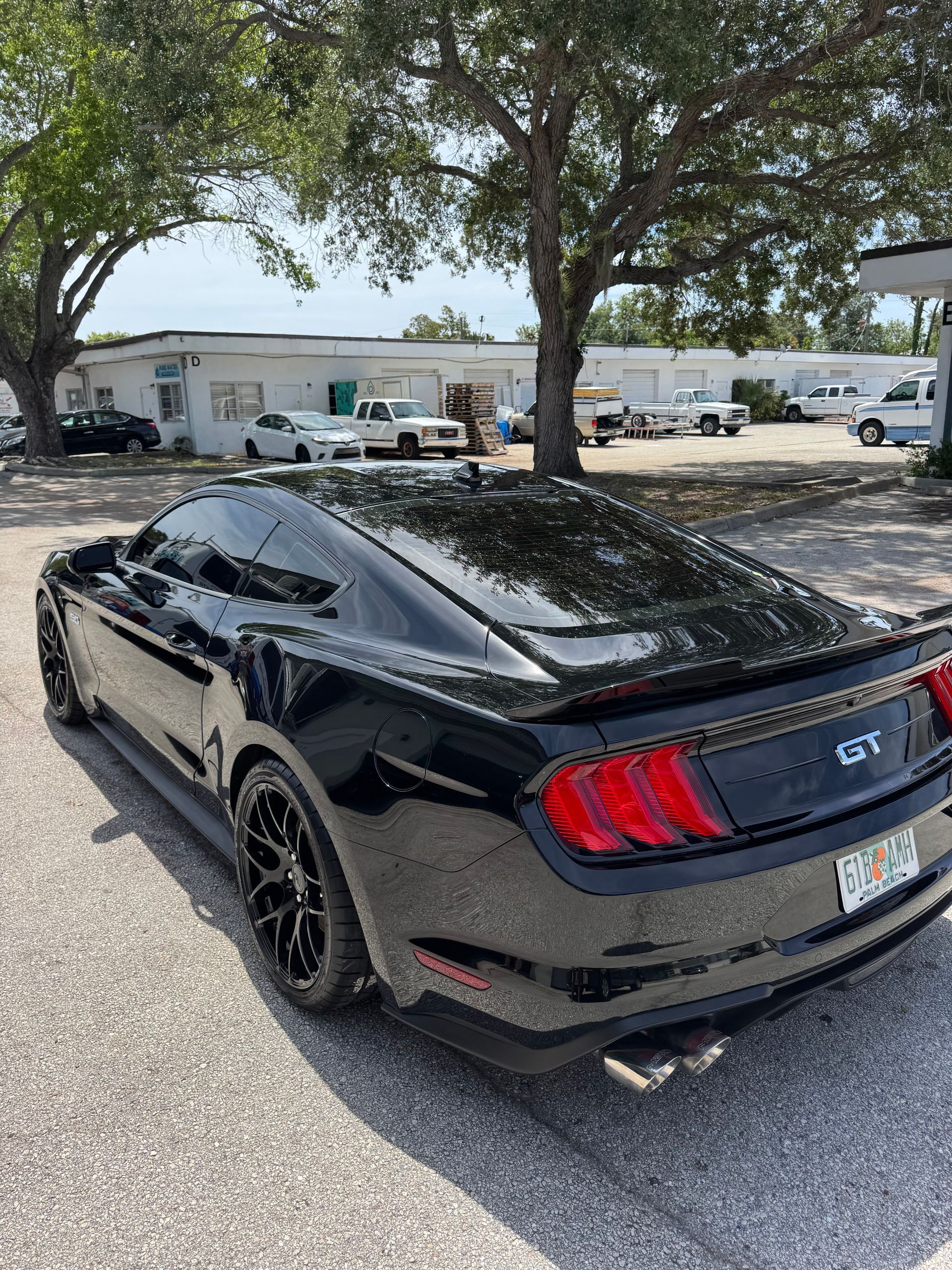 Black Ford Mustang GT parked under trees in a lot, rear three-quarter view