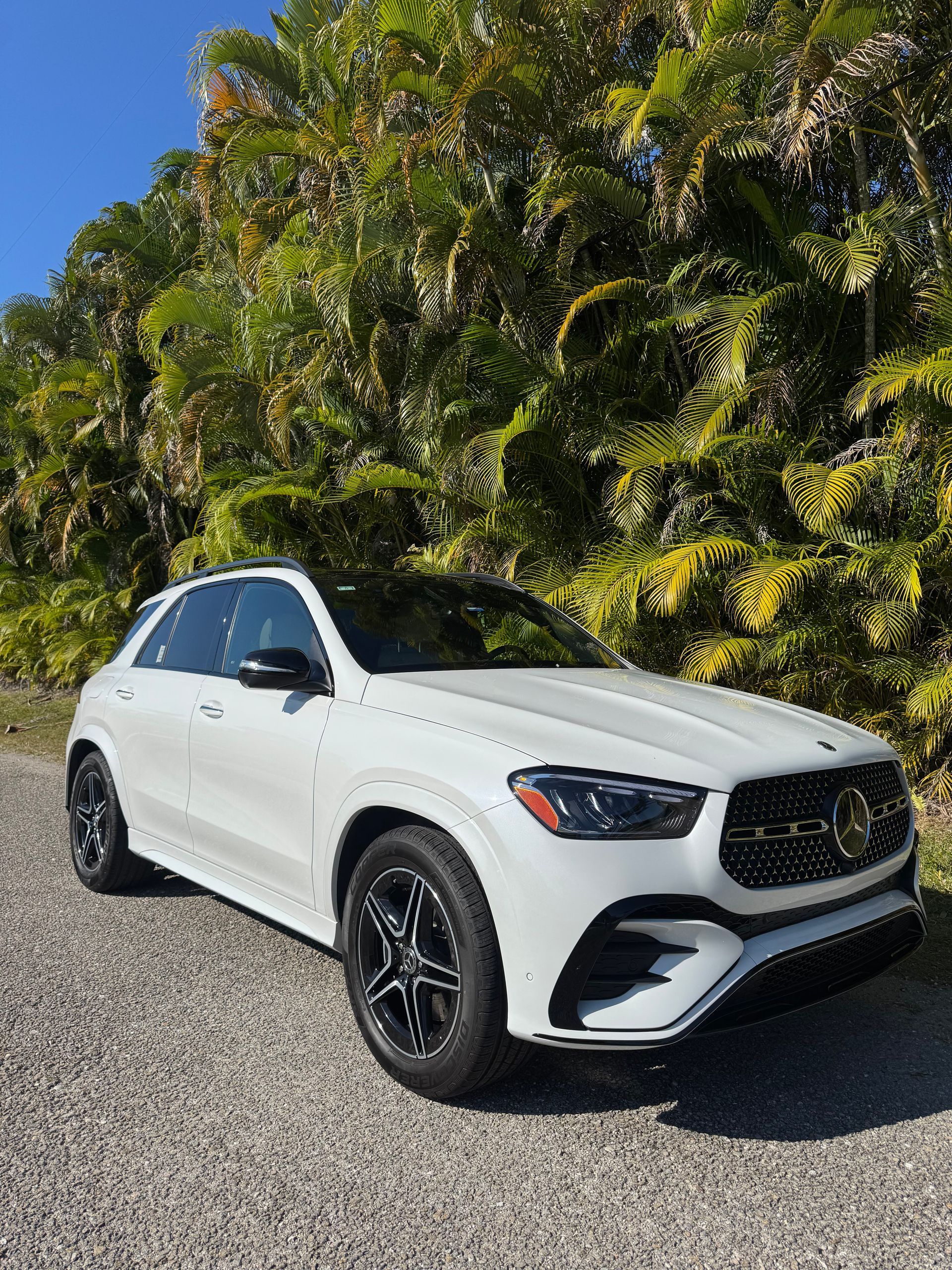 White SUV parked on gravel in front of lush green palm trees under bright sunlight