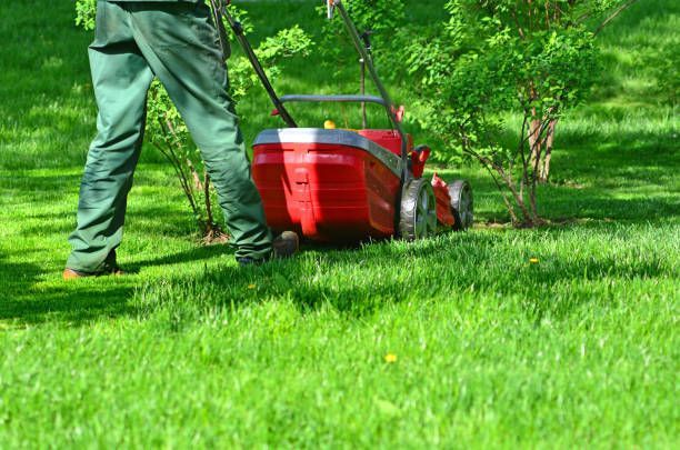 Person mowing green lawn with red lawn mower in garden yard landscaping maintenance outdoor.