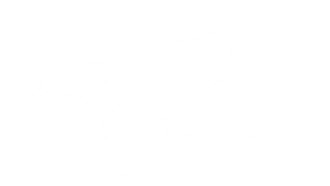Dynasty Dental Care | Dr. Alexander Borukhov, DMD