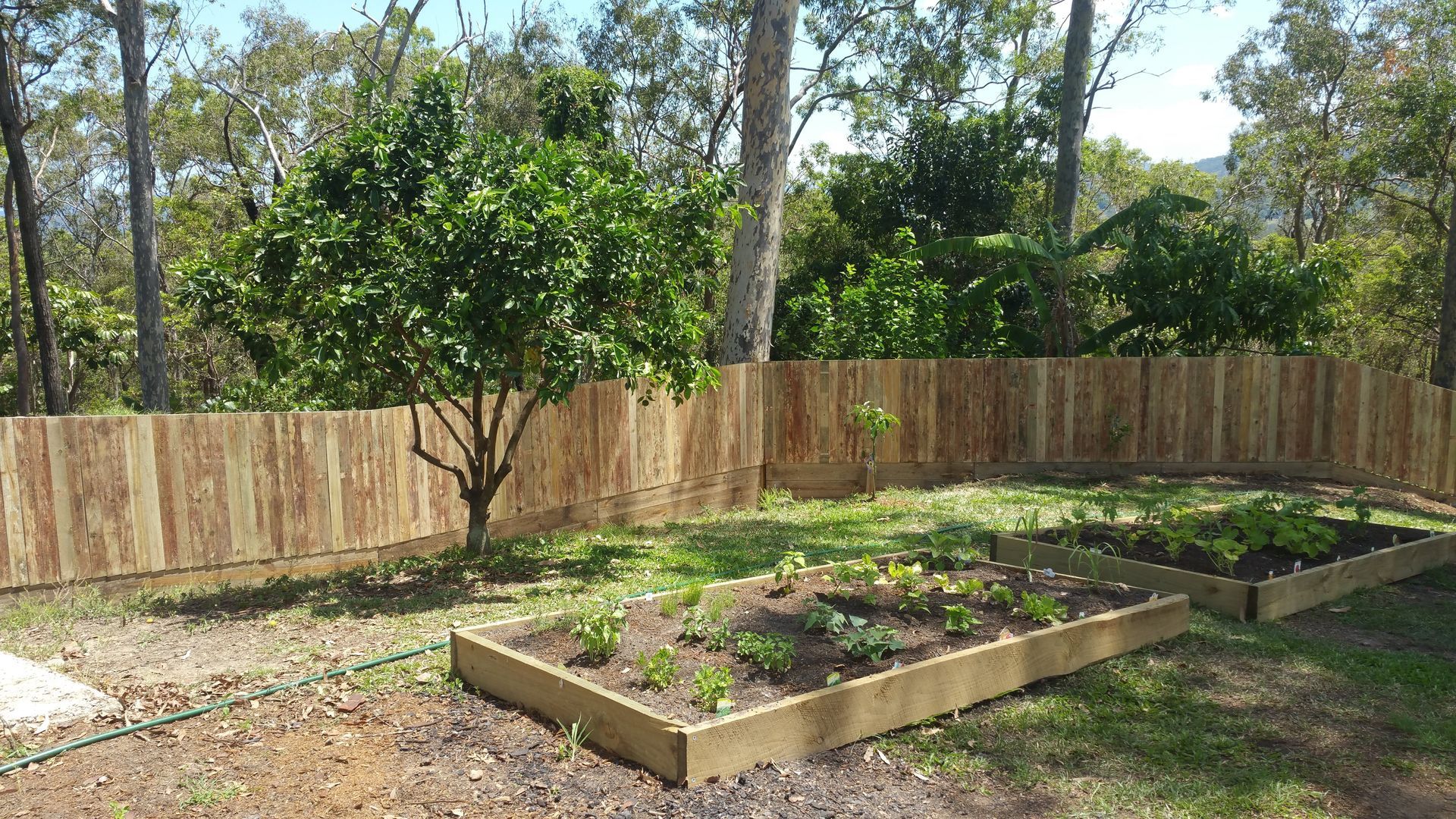 fencing gold coast