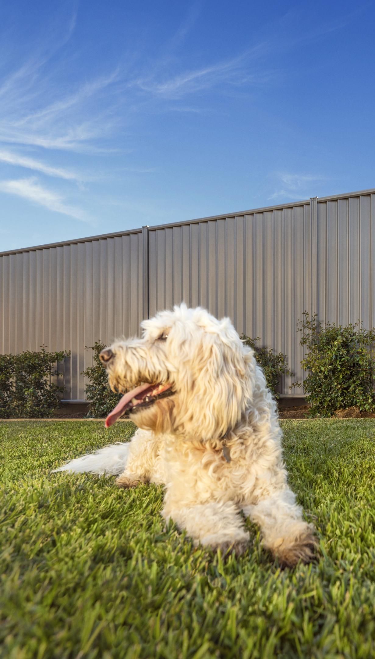 gramline steel privacy fencing gold coast