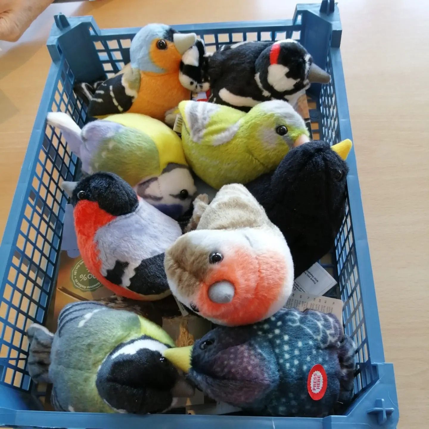 Caritas gGmbH St. Heinrich und Kunigunde