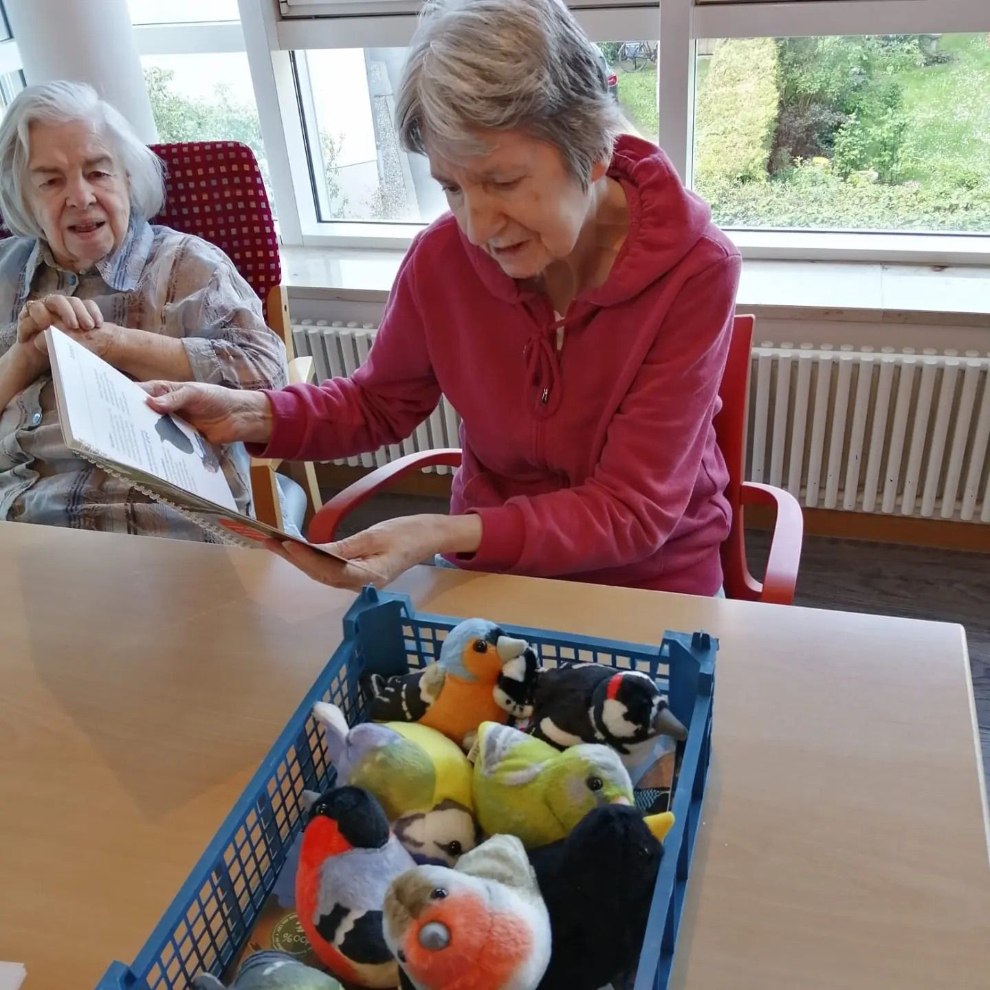 Caritas gGmbH St. Heinrich und Kunigunde