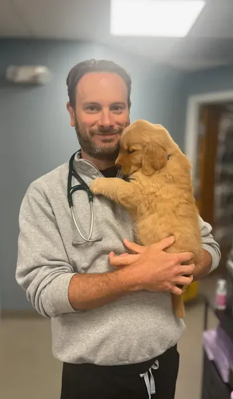 Man in a gray sweater holding a golden puppy in a veterinary clinic