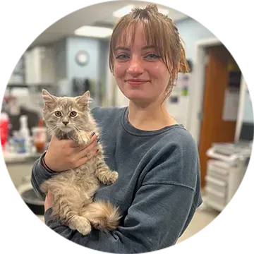 Woman holding a fluffy gray kitten in a bright indoor room