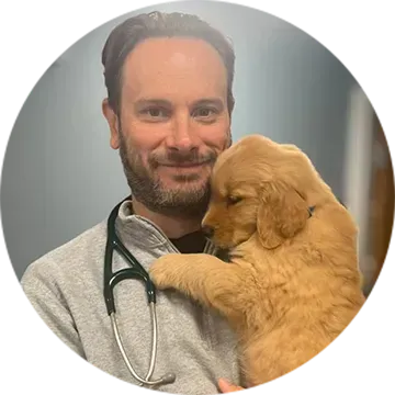 Man holding a golden retriever puppy while wearing a stethoscope, smiling in a softly lit room
