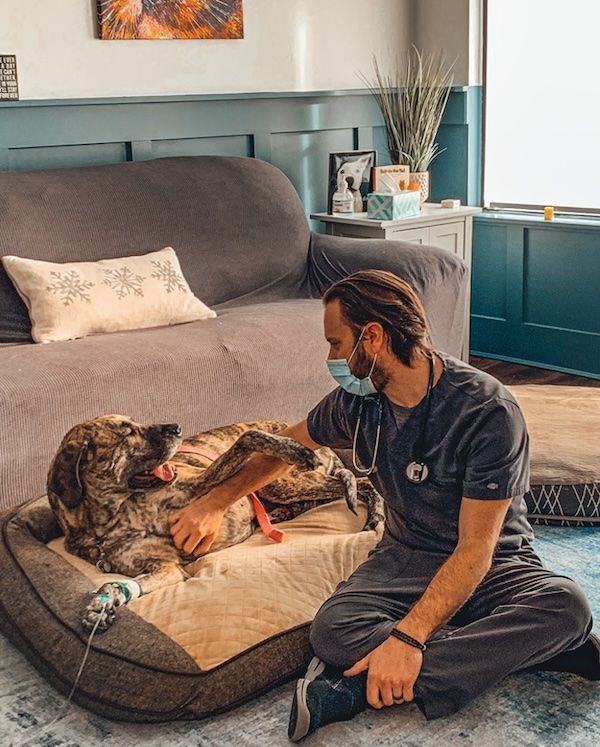 Man kneels beside a dog on a cushioned bed in a cozy living room, petting its paw.