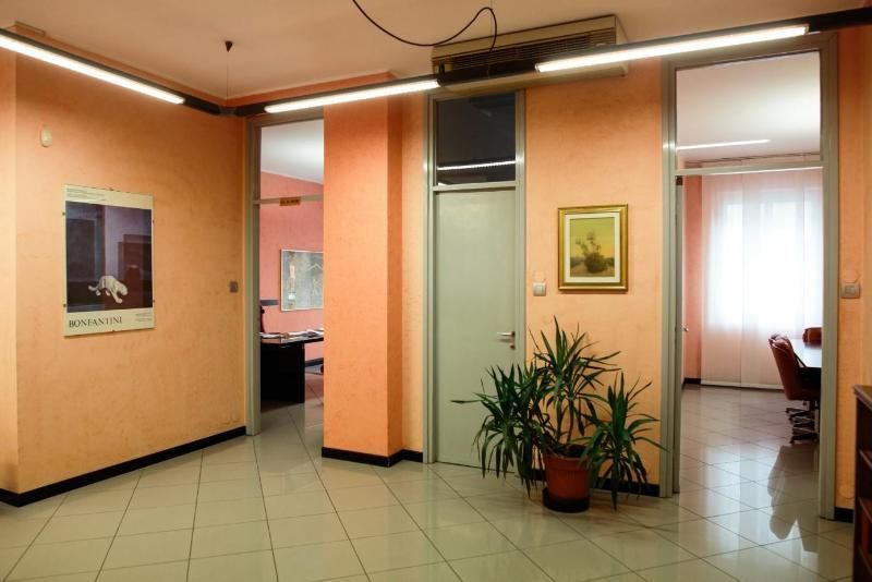 consulenza