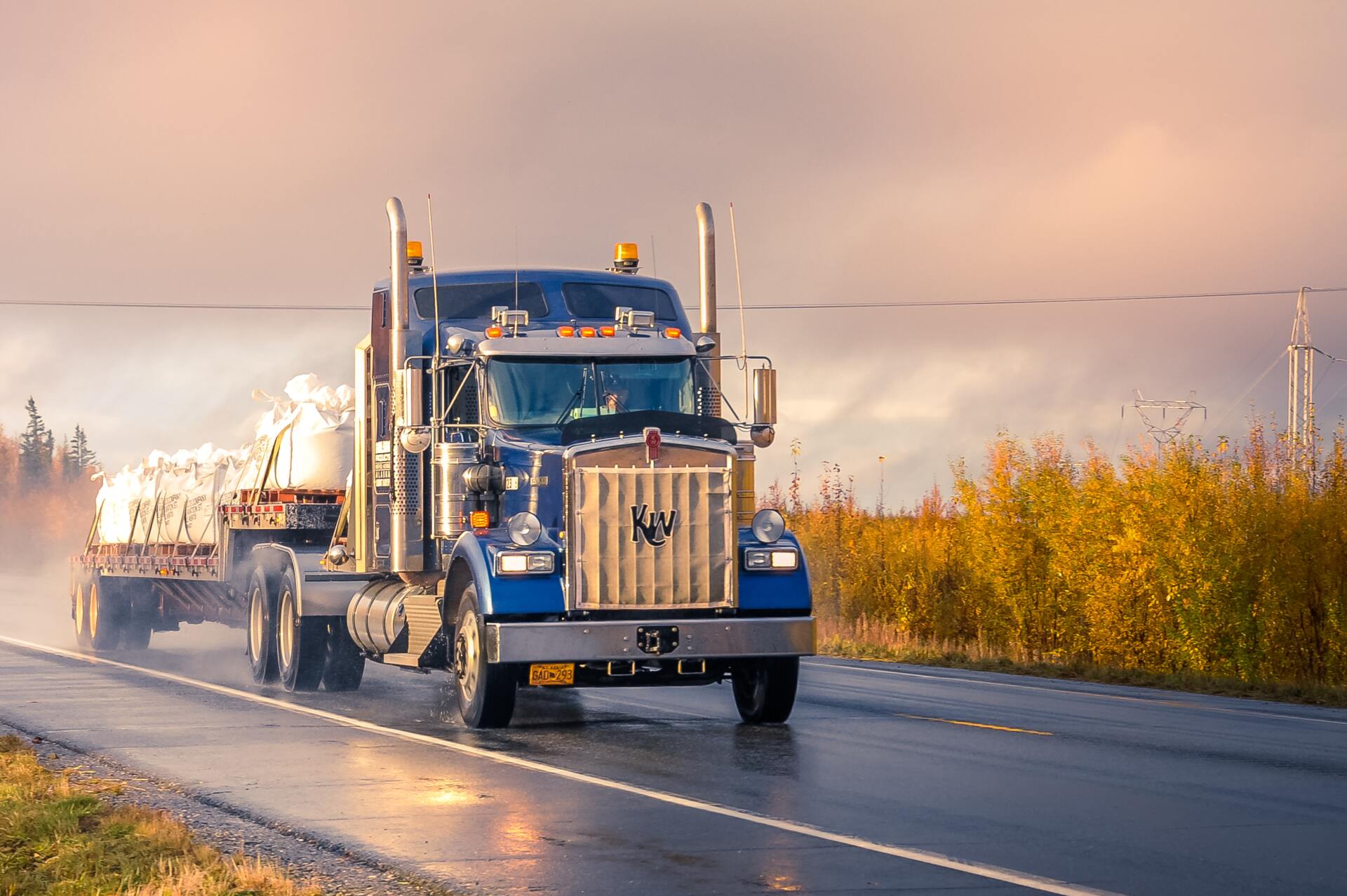 Blue semi-truck driving on a wet highway with a load. Autumnal setting with yellow foliage and a sunset.
