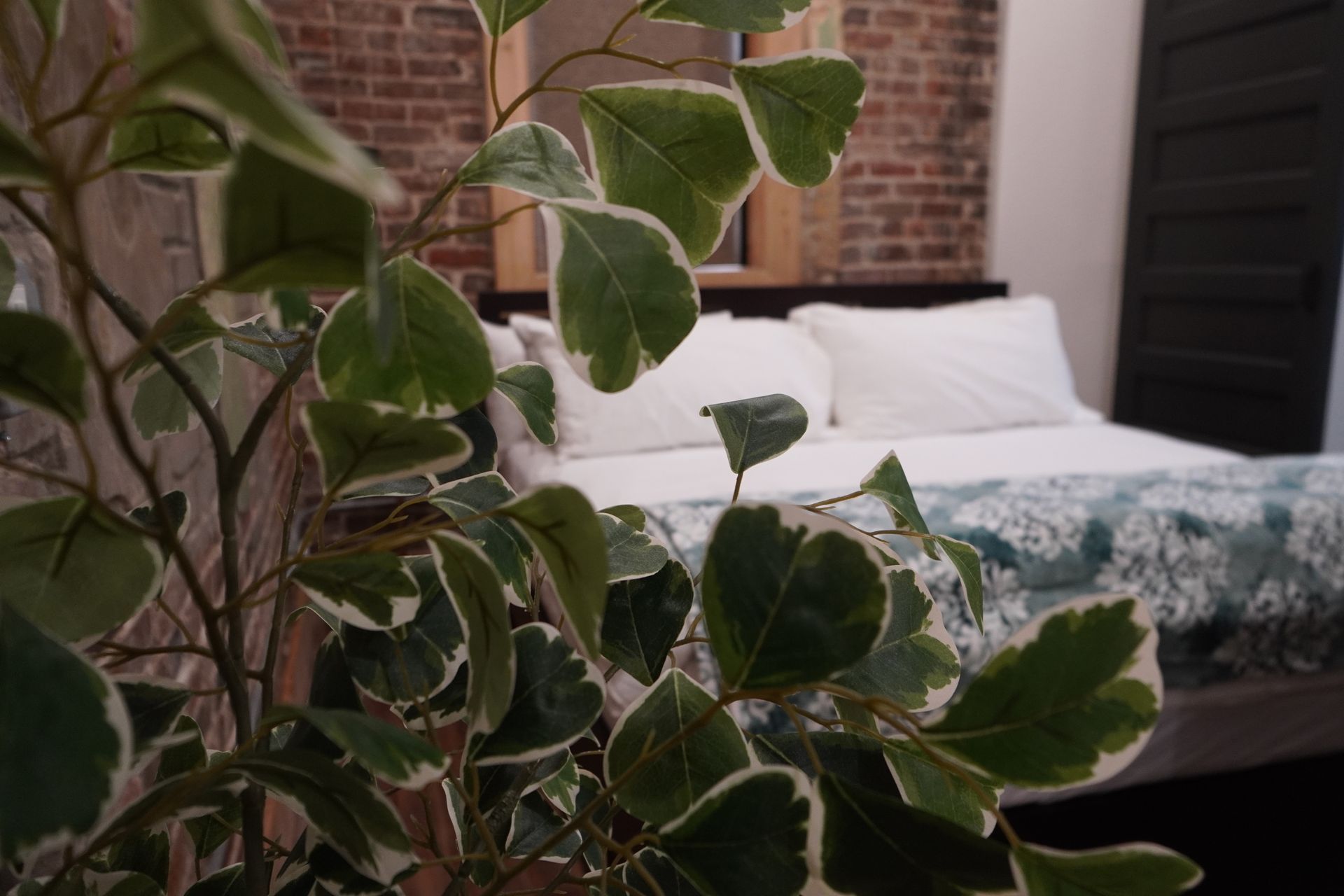 Close-up of leafy plant in front of a bed with white pillows and blue patterned blanket in a room with exposed brick.