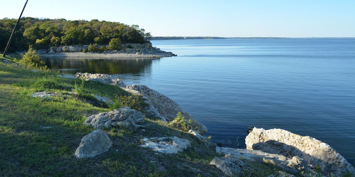 Lush green shoreline meets calm blue water, with trees in the distance under a clear sky.