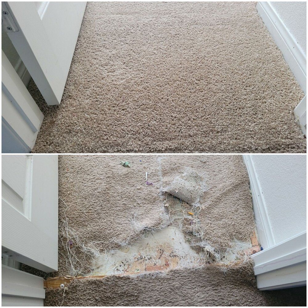 Eco Friend Carpet Clean - Before and after of damaged beige carpet in a doorway; torn, exposing subfloor.