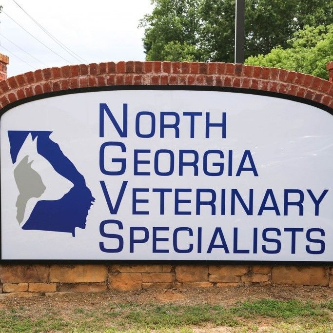 A sign that says north georgia veterinary specialists on it - Buford, GA - North Georgia Veterinary Specialists 