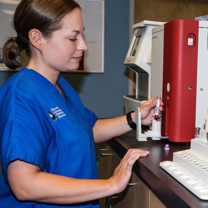 A surgical table with a monitor , syringes , and other medical equipment - Buford, GA - North Georgia Veterinary Specialists A surgical table with a monitor , syringes , and other medical equipment - Buford, GA - North Georgia Veterinary Specialists