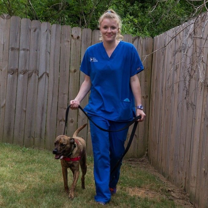A woman in blue scrubs is walking a dog on a leash - Buford, GA - North Georgia Veterinary Specialists 