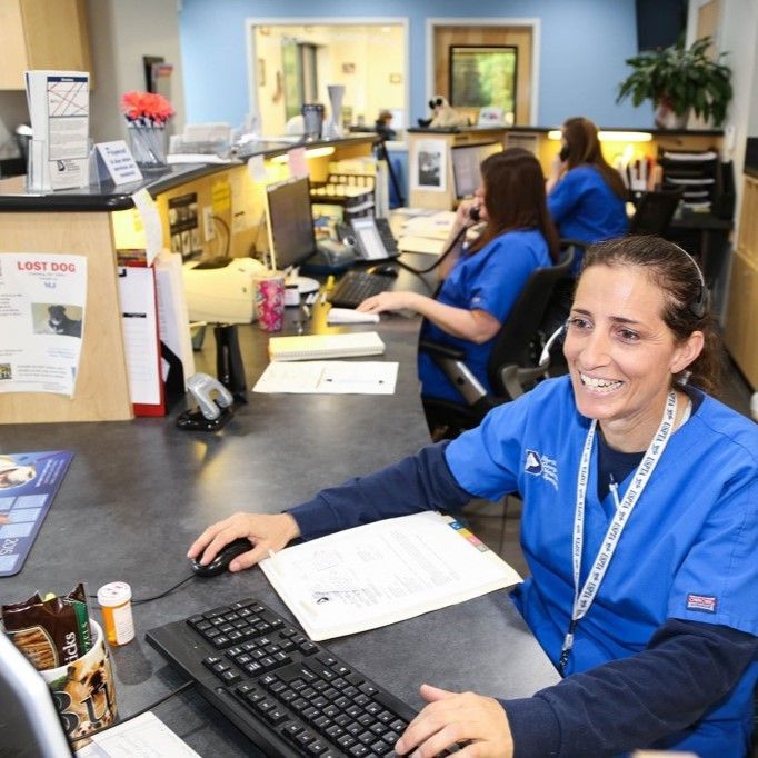 A woman in a blue scrub is typing on a keyboard - Buford, GA - North Georgia Veterinary Specialists 