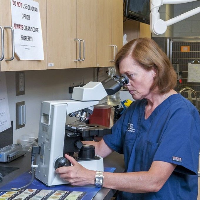 A woman is looking through a microscope with a sign on the wall that says do not use on optics - Buford, GA - North Georgia Veterinary Specialists 