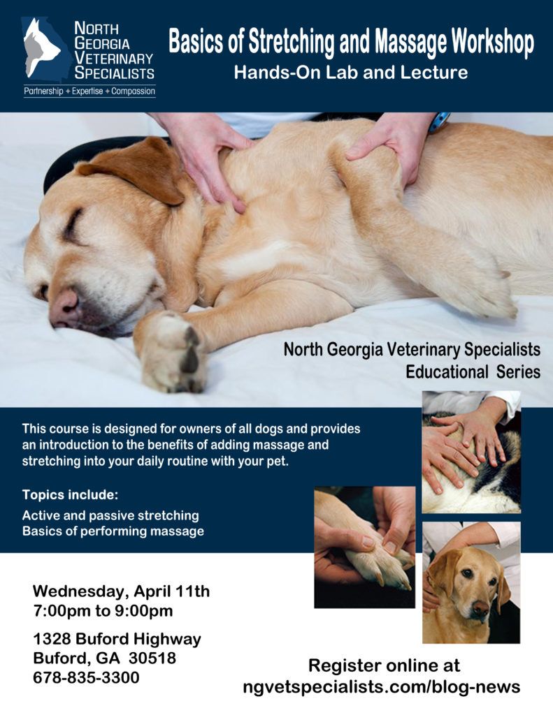 A poster for a basics of stretching and massage workshop- Buford, GA - North Georgia Veterinary 