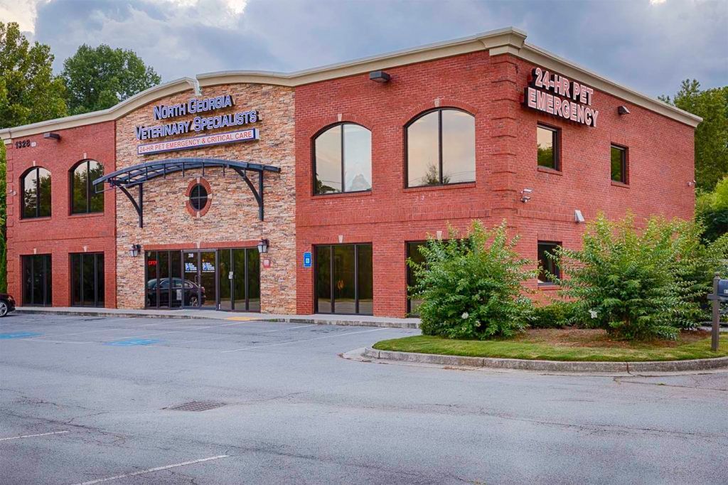 A brick building with a sign that says north georgia veterinary specialist - Buford, GA - North Georgia Veterinary Specialists A brick building with a sign that says north georgia veterinary specialist - Buford, GA - North Georgia Veterinary Specialists