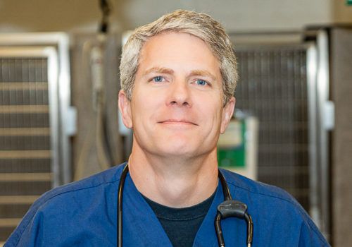 Thomas Dempsey, DVM Thomas Dempsey, DVM