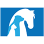 Veterinary Care Foundation Veterinary Care Foundation