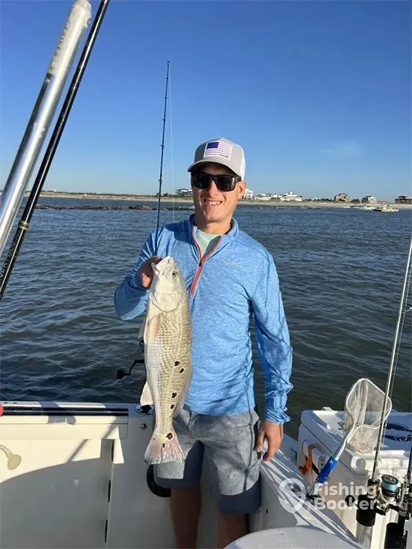 Man on a boat holding a large fish on a sunny day, with water and shoreline in the background.