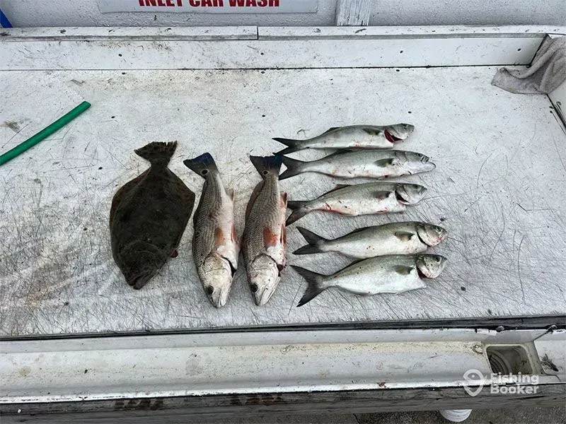 Fish catch laid out on a boat deck with a flatfish, two larger fish, and several smaller silver fish.