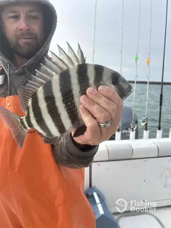 Fisherman holding a striped fish on a boat at sea, with fishing rods in the background.
