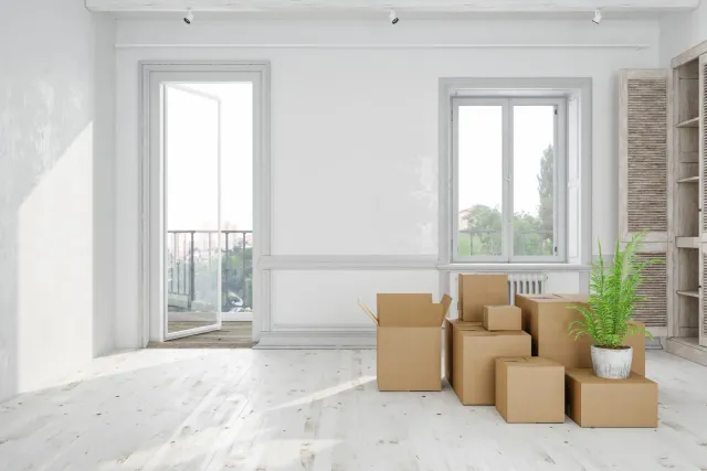 Empty room with open door, window, and boxes. A plant sits on boxes, sunlight streams in.