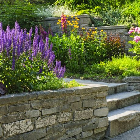 Stone garden steps beside a low wall and blooming purple and yellow flowers in a sunny yard